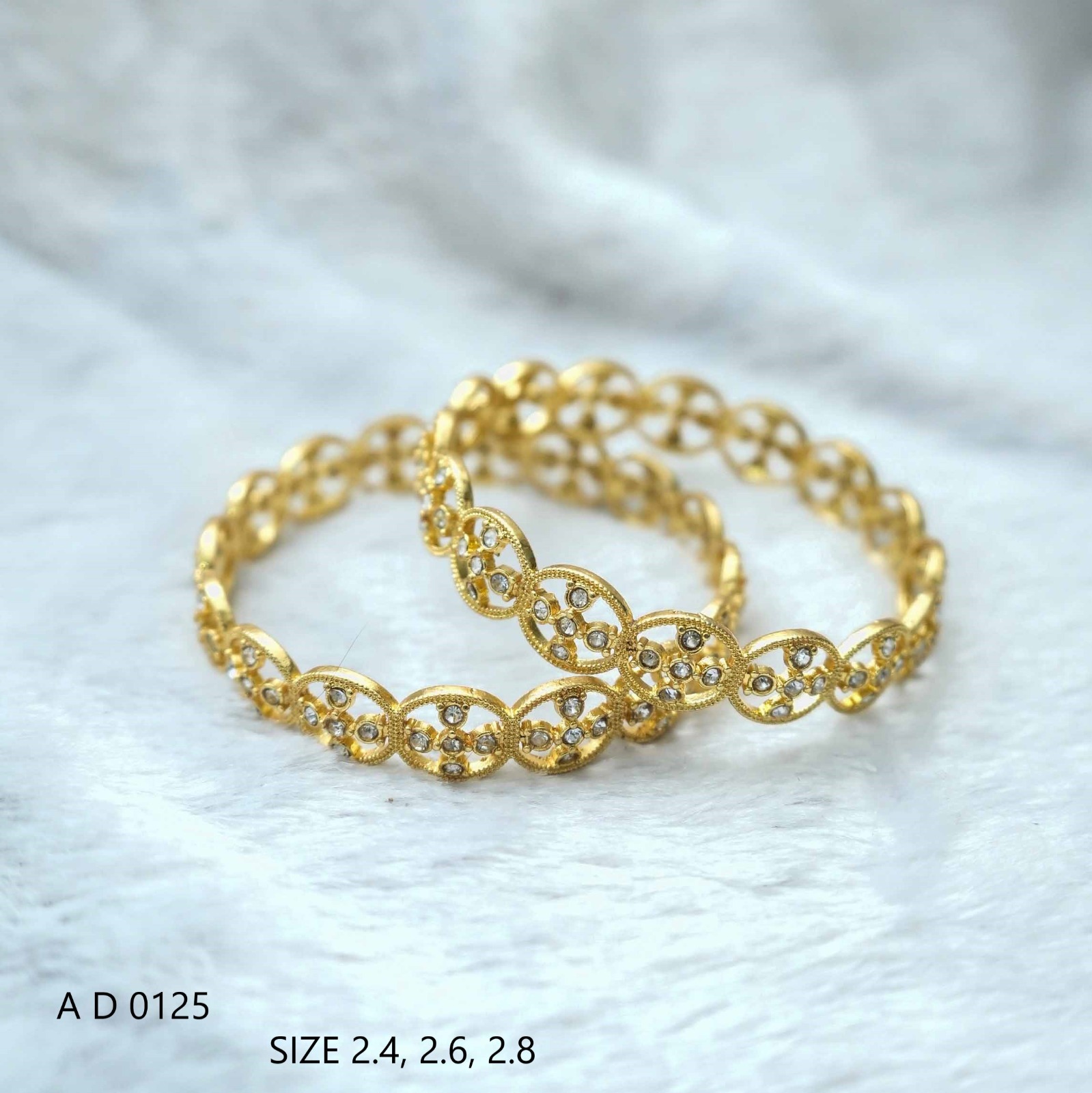 Chic Golden Hoop Earrings